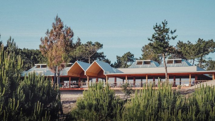 A hotel nestled in the trees and sand dunes on a beach in Portugal